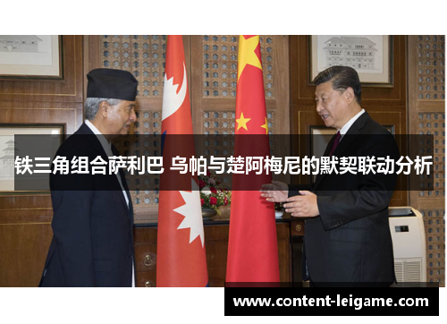 铁三角组合萨利巴 乌帕与楚阿梅尼的默契联动分析