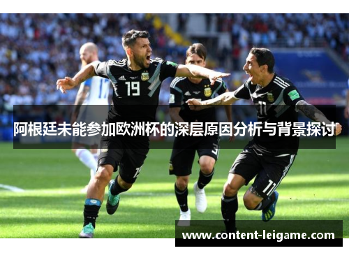 阿根廷未能参加欧洲杯的深层原因分析与背景探讨