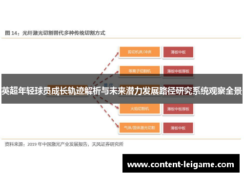 英超年轻球员成长轨迹解析与未来潜力发展路径研究系统观察全景