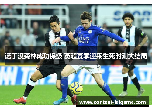 诺丁汉森林成功保级 英超赛季迎来生死时刻大结局