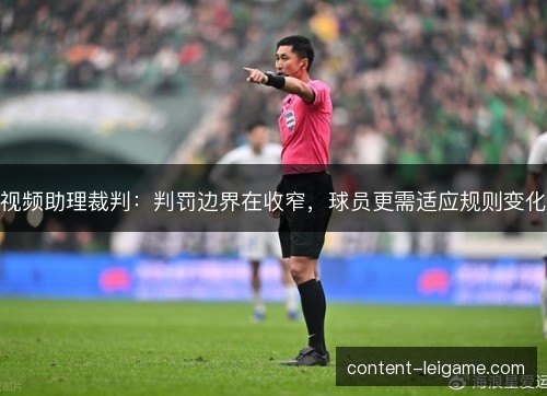 视频助理裁判：判罚边界在收窄，球员更需适应规则变化